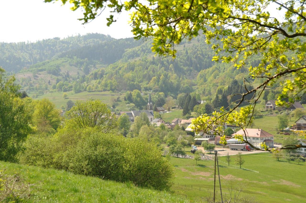 Appartement A Mitzach Exterior foto